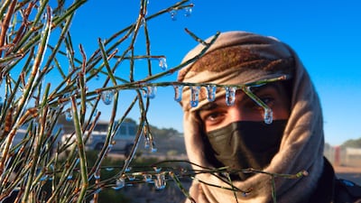 Fahad Mohammed of the UAE Storm Centre shows a build-up of ice on shrubs during low temperatures in the Emirates earlier this year. Photo: Victor Besa / The National