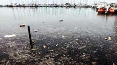 The brown-black substance near Dubai Offshore Sailing Club.