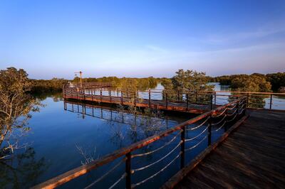 Jubail Mangrove Park, Abu Dhabi, September 23. Victor Besa/The National