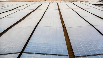 Noor Abu Dhabi solar plant is the world’s largest single-site solar photovoltaic plant. Photo: Taqa