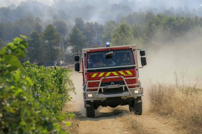 Firefighters have struggled to bring the fire, which progressed at 6km/h, under control. AFP