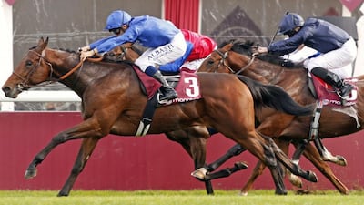 Victor Ludorum's undefeated start to career came to an end in May. Courtesy Godolphin.com
