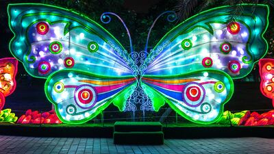 A beautiful butterfly, part of the Glowing Safari, lights up the night sky
