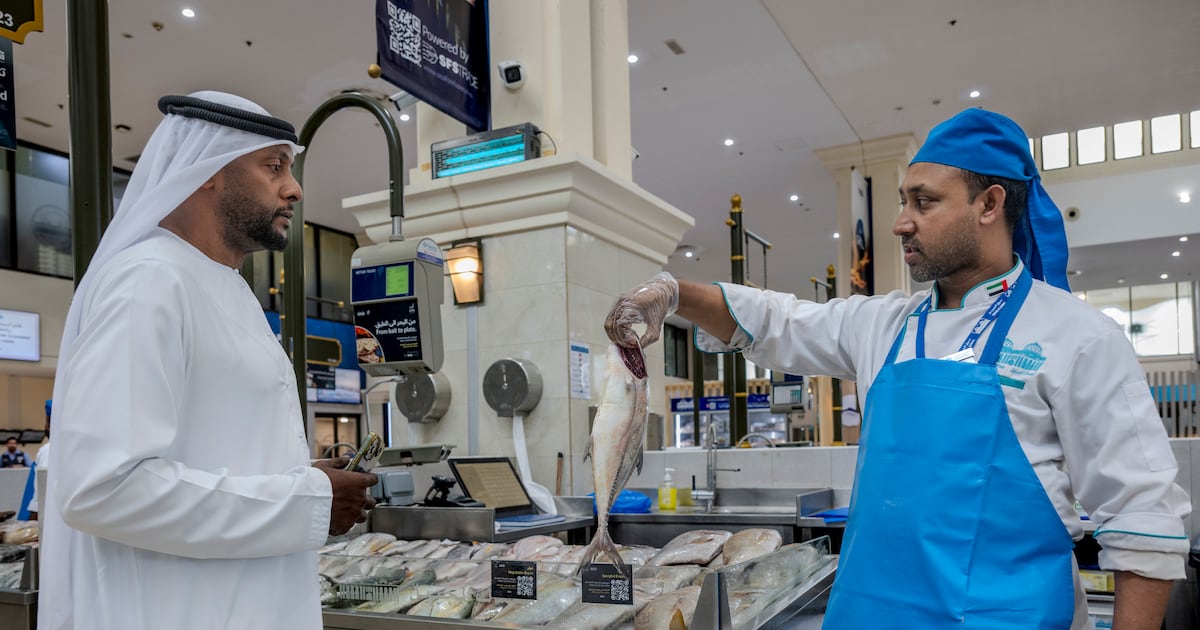 Fish Market Rajh Sharjah fish market thriving despite Iran crisis reducing catches and ...