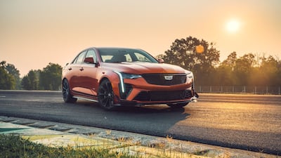 The model offers an assertive presence.