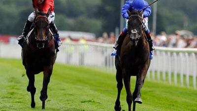 Frankie Dettori's victory in the Yorkshire Oaks with Blue Bunting, right, three weeks ago has raised the hopes of Godolphin.