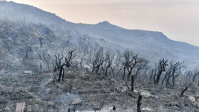 Tunisian authorities continue to evacuate the 2,500 Meloula village residents. AFP
