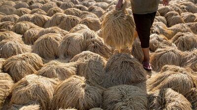Indonesia’s powerful food procurement body Bulog is the dominant rice buyer, tasked with maintaining annual stocks of 1.5 to 2 million metric tonnes. Above, a farmer holds a tied paddy stalks to be dried under the sunlight during harvest season. Agung Parameswara / Getty Images