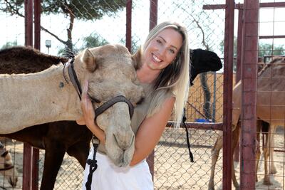 Jodie Whileman, partner with the camel at the camel farm in Dubai. Pawan Singh / The National