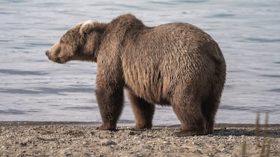 284. Photo: NPS Photo