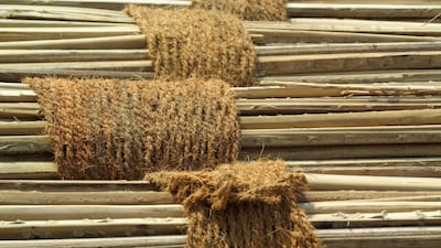 Detail of the Sabla Project domes