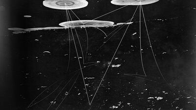 Peter Franck, Germany, Shortlist, Professional competition, Creative, Sony World Photography Awards.