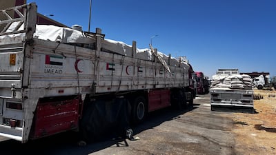 Lorries carrying aid going to Gaza are waiting in Al Arish after the Rafah crossing was closed on May 7 after the Israeli army entered Rafah. The UAE sent a convoy carrying 80 tonnes of aid through the Karam Abu Salem border crossing on Tuesday. EPA