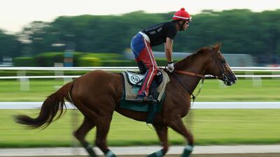Kentucky Derby and Preakness Stakes winner California Chrome training with exercise rider Willie Delgado at Belmont Park on Tuesday. Al Bello / Getty Images / AFP / May 27, 2014