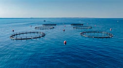 Three decades later, one of the agency’s biggest success stories is beneath the sea