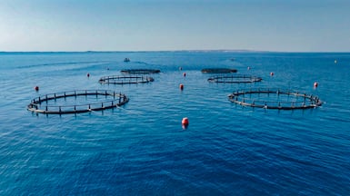 Three decades later, one of the agency’s biggest success stories is beneath the sea