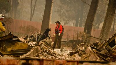 Butte County Search and Rescue worker Noelle Francis and search dog Spinner look through the ashes for survivors and remains in Paradise. AP Photo