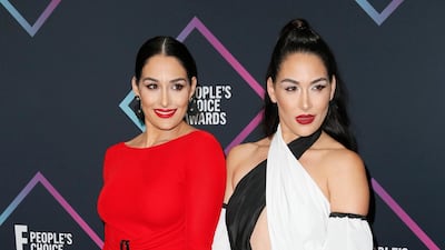 Wrestling stars: Nikki Bella (left) in Dundas and Brie Bella (right) in Self Portrait. Photo / Reuters
