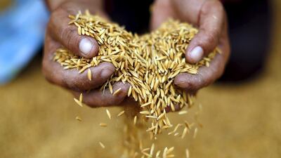 A Thai rice mill worker holds up rice fallen onto the ground in Udon Thani. Jorge Silva / Reuters