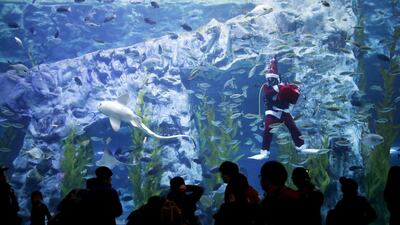 A diver dressed in a Santa Claus costume performs during an event celebrating the upcoming Christmas holiday at Lotte World Aquarium in Seoul, South Korea. Kim Hong-ji / Reuters
