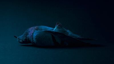 Theo Ellison, Entombment