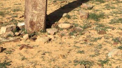 The archaeology of Saudi Arabia is as splendid as its better-known neighbours. Courtesy Muhammad Kazim