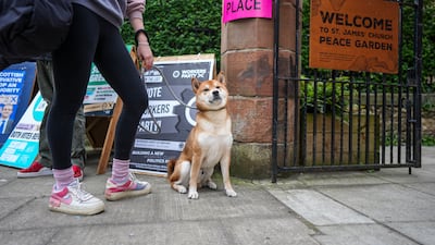 A dog owner outside a polling station in Edinburgh. Getty Images