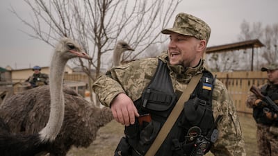 A Ukrainian soldier fends off an ostrich at a heavily damaged private zoo in the village of Yasnohorodka, outside Kyiv. AP