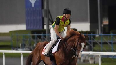 K T Brave will not compete at Meydan on Saturday in the Dubai World Cup. Racingfotos