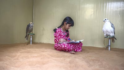 Osha completes her school work at a falconry area in her home. Vidhyaa Chandramohan for The National