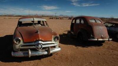 The landscape and the light were Lott's favourite aspects.