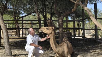 Simon Beckett, experiences manager Six Senses Zighy Bay, brought camels into the resort. Supplied