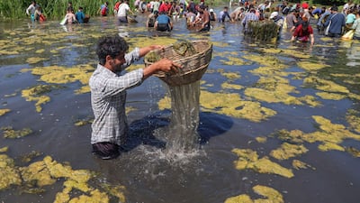 Villagers catch fish during a festival at Panzath Nag, a spring near Qazigund in Indian-administered Kashmir. EPA