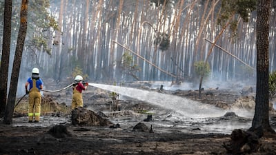 Firefighters extinguish pockets of embers near Falkenberg, south-eastern Germany. AP