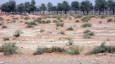 UAE groundwater levels are dropping through over-extraction and will run out by 2030 unless changes are made. Randi Sokoloff / The National