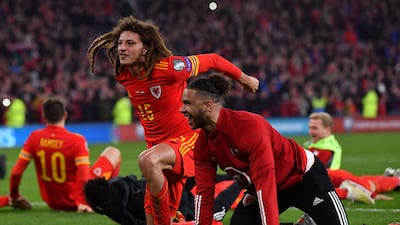 Wales' players celebrate victory and qualification for the Euro 2020 finals. AFP