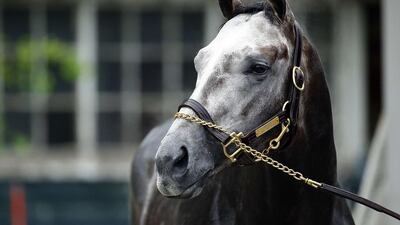 Frosted. Al Bello / Getty Images / AFP