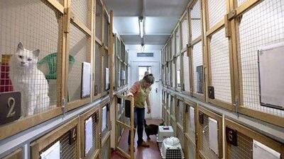 Rana Marok, an animal handler at Dubai Kennels & Cattery, which specialises in pet relocation. Razan Alzayani / The National