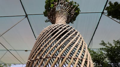 A 'Lagerstroemia indica', or crepe myrtle (Dh1,800), on display at Green Trend Landscape at Dubai's plant souq.
