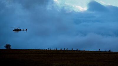 A helicopter hovers above the lead peloton during Stage 2 of the Absa Cape Epic mountain bike race in South Africa on Tuesday. Nic Bothma / EPA