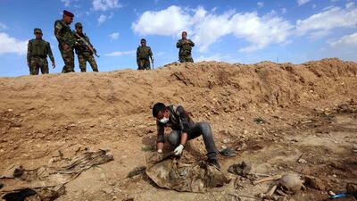An Iraqi man inspects, the remains of members of the Yazidi minority killed by ISIS after Kurdish forces discovered a mass grave near the village of Sinuni, in the northwestern Sinjar area on February 03, 2015. AFP