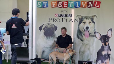 People take their photos with pets at the photo booth at the Abu Dhabi Pet Festival held at du arena on Yas Island in Abu Dhabi. Pawan Singh / The National