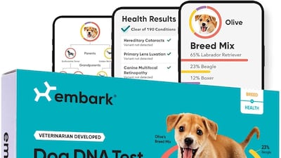 Embark Dog DNA test, Dh640, amazon.ae. Photo: Embark