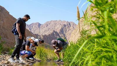 Community events such as nature walks engage the public to participate in the upcoming Cop28. Photo: Supplied