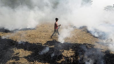 An farm labourer burns stubble after a field was harvested on the outskirts of Jalandhar in Punjab state, India, on November 4, 2016. The practice has been blamed for the smog covering New Delhi and surrounding areas in recent days. Shammi Mehra / Agence France-Presse