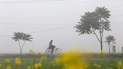 A villager rides a bicycle on a cold and foggy afternoon in a village near Amritsar. Raminder Pal Singh / EPA