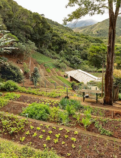 Lasai serves food with products from the restaurant's own gardens – one in Rio and another about two hours away in the mountains. Courtesy Lasai