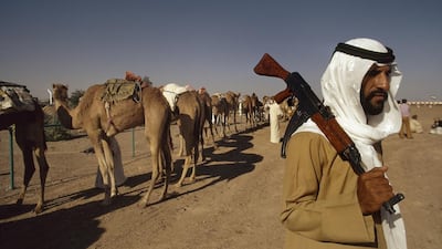 A local man stands guard over a line of camels in Abu Dhabi, 1975.