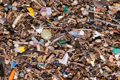 Plastic pollution on the shoreline of the Thames estuary. Getty