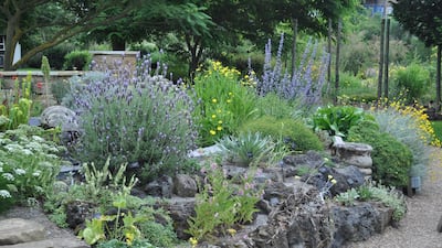 The Chelsea Physic Garden. Courtesy Nick Bailey